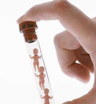 专家
